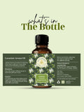 Jasmine Aroma Oil - LUXURIATEJasmine Aroma OilAroam OilLUXURIATELUXURIATE