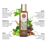 Reetha Amla Shikakai Shampoo - LUXURIATE