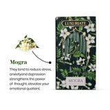 Mogra Bambooless Incense Pack of 2 - LUXURIATEMogra Bambooless Incense Pack of 2ComboLUXURIATELUXURIATE
